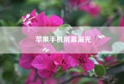 苹果手机屏幕漏光