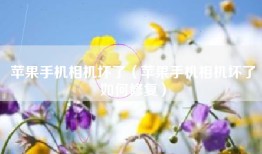 苹果手机相机坏了（苹果手机相机坏了如何修复）