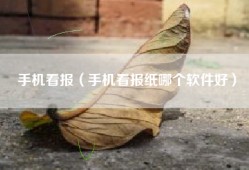 手机看报（手机看报纸哪个软件好）