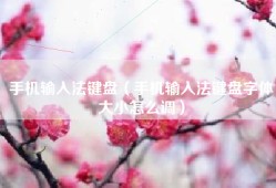 手机输入法键盘（手机输入法键盘字体大小怎么调）