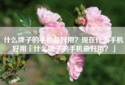 什么牌子的手机最好用？现在什么手机好用「什么牌子的手机最好用？」