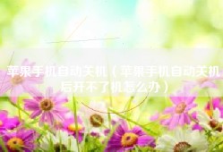 苹果手机自动关机（苹果手机自动关机后开不了机怎么办）