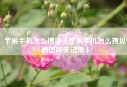 苹果手机怎么拷贝（苹果手机怎么拷贝微信聊天记录）