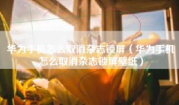 华为手机怎么取消杂志锁屏（华为手机怎么取消杂志锁屏壁纸）