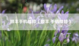 顺丰手机维修（顺丰 手机维修）