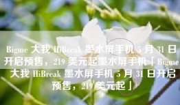 Bigme 大我 HiBreak 墨水屏手机 5 月 31 日开启预售，219 美元起墨水屏手机「Bigme 大我 HiBreak 墨水屏手机 5 月 31 日开启预售，219 美元起」