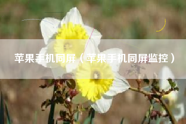 苹果手机同屏（苹果手机同屏监控）