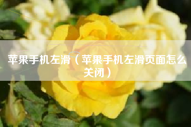 苹果手机左滑（苹果手机左滑页面怎么关闭）