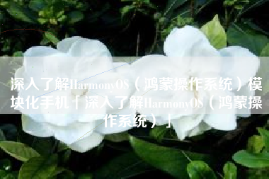 深入了解HarmonyOS（鸿蒙操作系统）模块化手机「深入了解HarmonyOS（鸿蒙操作系统）」