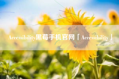 Accessibility黑莓手机官网「Accessibility」